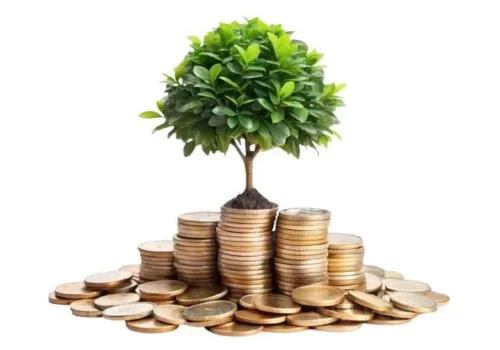 Proven Investment Management Tips for Smart Investors